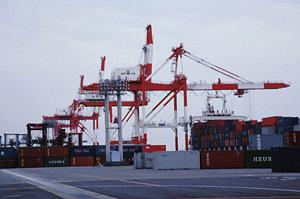 タンナーとは、とある仕事の職人です。